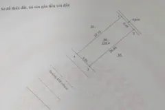 CHÍNH CHỦ  Cần Bán Nhà Đất Mặt Tiền Trung Tâm Xã Mỹ Đức gần 230m2 Mặt Đường 419