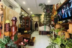 Bán nhà nội thất gỗ quý tại Tân Bình, Hồ Chí Minh