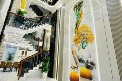 Nhà bán lô góc LVQ 2 mặt tiền thông thoáng, hẻm xe hơi né nhau thoải mái, 8,8