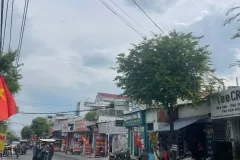 Bán đất thổ cư 150m2 tại Quận 12, TP.HCM