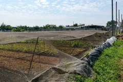 Cơ hội hiếm! 3710m2 đất sát KCN Vĩnh Lộc A, giá 29.x tỷ