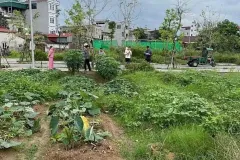 Bán nhà tại Thư Lâm, Đông Anh, Hà Nội