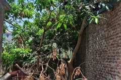 Bán đất 30m² tại Đại Áng, Hà Nội, giá 3,5 tỷ