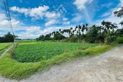 Đất ven sông 4819m2 tại Thạnh Xuân 33, Quận 12