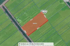 Bán đất 1ha tại Huyện Bình Chánh, TP.HCM
