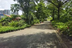Bán đất nền KDC Hoàng Anh Minh Tuấn, Quận 9, TP.HCM