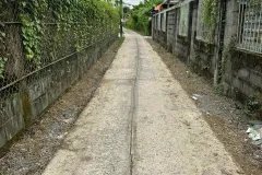 CẦN BÁN 427M2 14X25 CÓ 4 CĂN NHÀ CẤP 4 HẺM XE HƠI 1/ BÙI THANH KHIẾT