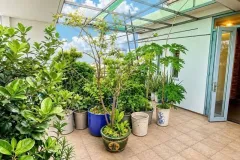Bán biệt thự 5 tầng tại Gò Vấp, TP.HCM
