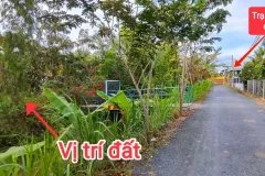 CẦN BÁN 4827M2 ĐẤT THỎ CƯ VÀ VƯỜN MT ĐƯỜNG NHỰA