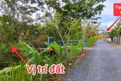 Cần bán 4827m2 đất thổ cư tại Huyện Bình Chánh, TP.HCM