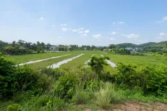 L2977* ĐẤT LÀM NHÀ VƯỜN ĐỈNH sát NGUYỄN THỊ RÀNH, NHUẬN ĐỨC, CỦ CHI - GIÁ 10.X