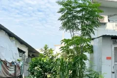 [L3037*] Đất Đường  59 An Hội Tây, gần Chợ Thạch Đà, Giá 7.x Tỷ