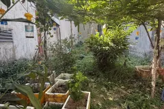 Bán đất Sổ hồng riêng 83m² hẻm ô tô Quận 12, TP.HCM