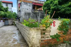 Bán đất 50m² Đa Tốn, Gia Lâm, giá 4,2 tỷ, view VinUni