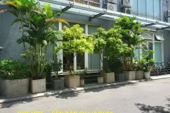 HOT HOT  – CẦN BÁN SHophOUSE  869 Melody Residences, Đ.Âu Cơ, Phường Tân Sơn