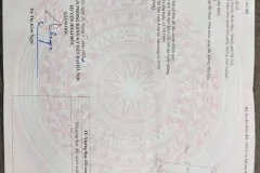 BÁN ĐẤT NÔNG NGHIỆP – VỊ TRÍ VÀNG, GẦN ĐẠI LỘ THĂNG LONG – SONG PHƯƠNG, HOÀI ĐỨC