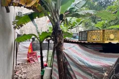 Bán đất 54m2 tại Hoàng Mai, Hà Nội