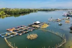 Bán đất 536m2 tại Cẩm Thanh, Hội An