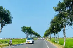 Bán lô đất đẹp tại Trà Quế, Hội An
