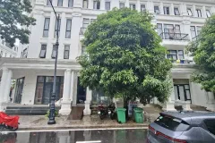 Bán nhà 5 tầng tại Louis City, Hoàng Mai