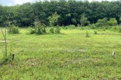 Bán gấp 275m2 đất KCN Mỹ Phước 3, Bến Cát