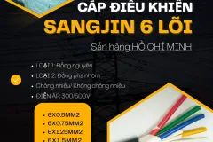 Cáp điều khiển Sangjin 6x0.5/6x0.75/6x1.25/6x1.5/6x2.5 sẵn HCM