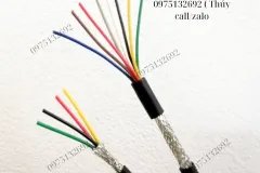 Cáp tín hiệu  AWM 2464 VW-1 300V 2C×0.22mm2 Altek Kabel