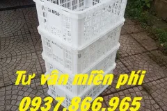 Phân phối sọt nhựa nguyên sinh chất lượng tại Hà Nội