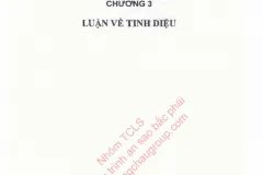 Luận Về Tinh Diệu 1