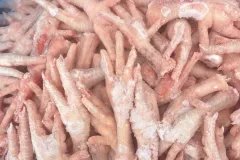 Chân gà đông lạnh Hà Nội – Có sẵn kho, giao trong ngày