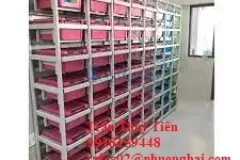 Kệ lưu mẫu dạng hộp
