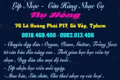 Lớp dạy đàn guitar tại Gò Vấp, Tphcm - Nhạc Nụ Hồng