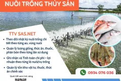 Phần Mềm Quản Lý Ao Nuôi Thủy Hải Sản