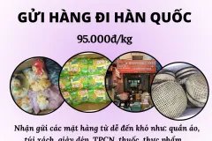 Gửi hàng đi Hàn Quốc - Tiến Việt Express