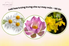 Những loài hoa mang lại may mắn tại TP.HCM