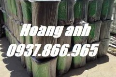Thùng rác phân loại 2 ngăn, thùng rác 60l, bán thùng rác toàn quốc