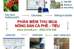 Quản lý thu mua Cafe, Tiêu và tính quy chuẩn hàng