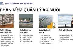 Phần mềm quản lý chi phí nuôi thủy sản tại TP.HCM