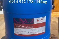 Men vi sinh Bacillus Megaterium cho vật nuôi tại TPHCM