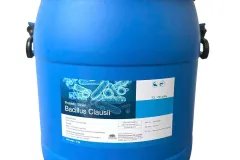 Lợi khuẩn Bacillus Clausii, cân bằng hệ vi sinh đường ruột cho tôm cá