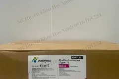 PHAFFIA RHODOZYMA – ASTAXANTHIN TỰ NHIÊN, tạo màu cho tôm
