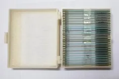 Bộ 25 mẫu tiêu bản cho kính hiển vi 300,000 ₫