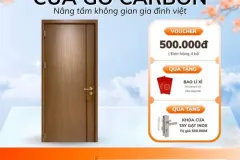 Cửa gỗ carbon cao cấp tại Thành phố Hồ Chí Minh