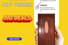Cửa gỗ HDF Veneer tại TP. Hồ Chí Minh