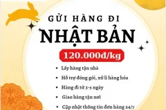 Gửi hàng đi Nhật Bản  - Tiến Việt Express