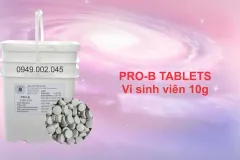 Vi sinh Pro - B Tablets cho ao nuôi tôm cá tại Vĩnh Long