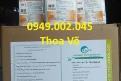 Men tiêu hóa Saccharomyces cerevisiae cho nuôi tôm, cá tại Cà Mau