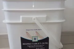 Men vi sinh viên Biopro Tablet cho ao nuôi tại TP.HCM