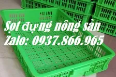 Sọt nhựa đựng rau củ tại Hà Nội