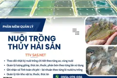 Phần mềm quản lý nuôi trồng thủy sản tại TP.HCM